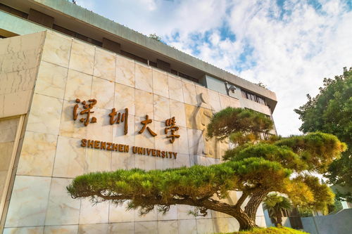 深圳大学开设的专业有哪些专业吗