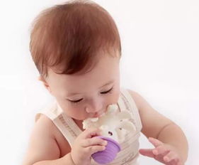 母婴知识 牙胶对宝宝很重要,什么时候用才最好