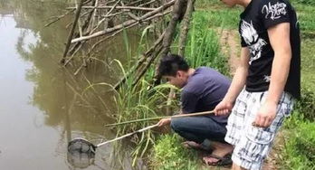 重庆主城冷门的钓龙虾胜地,这个夏天钓不到龙虾来找我