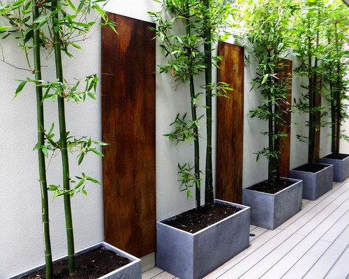庭院竹子怎么种 30款庭院竹子设计案例,供你参考