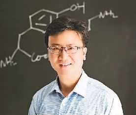 北京大学化学与分子工程学院化学生物系教授陈鹏