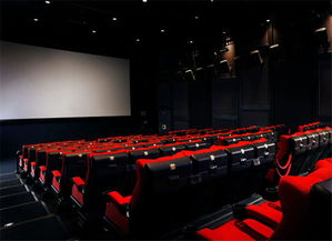 武义电影院:历史、设施、电影播放与观影体验