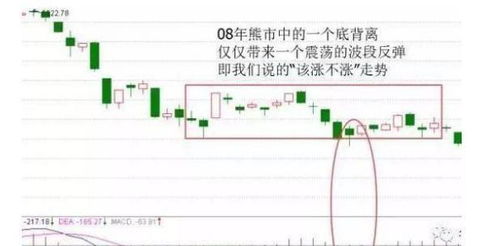 我买的股票价格是5.66买了7000股，现在是1.9，再买20000股，成本价是多