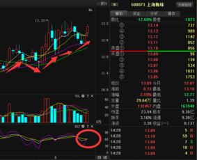 上海梅林最低能跌至多少?我6.73买的是做中线还是割肉?