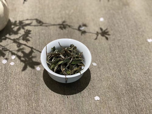 绿茶买龙井,红茶买金骏眉,白茶买老白茶,追着名气买茶有错吗 肉桂 