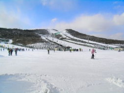 大连欢乐雪世界,大连有那几个滑雪场好-第1张图片