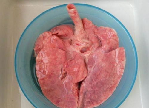 卖了30年猪肉的老板说,猪身上这2个部位不能吃,买猪肉时要小心