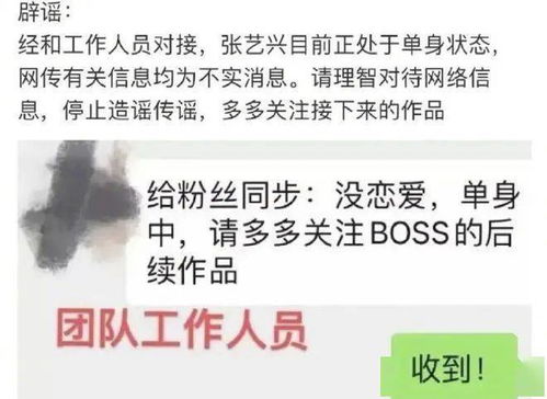 杨紫再次官宣另一半 你是我生命的全部,张一山 照顾好小猴紫