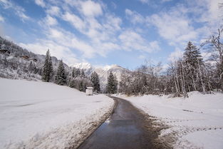 雪，这个词语在北方并不陌生，它伴随着冬季的寒冷而来，给大地带来一片宁静与美丽。每当冬季的第一场雪落下时，人们都会感叹，冬天来了！而在这个季节里，写雪的作文也成为了学生们的重要任务。