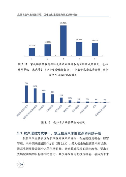 数字乡村软件优化农村就业服务体系