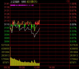 大单占盘比0.19%是什么意思