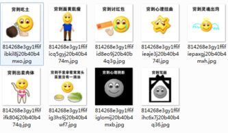 穷到吃土表情包免费版最新下载 穷到吃土表情包免费版 系统大全 