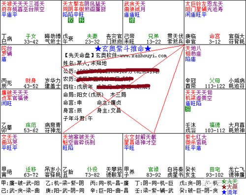 斗数 紫微斗数的闪电忌