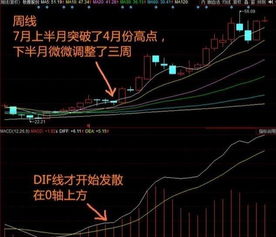 牛市中个股股价的每一次大级别回调都是在30%左右吗?