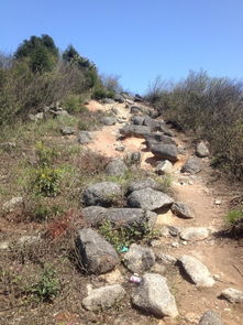 南岳衡山旅游住宿祈福徒步行