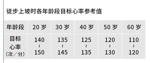 节奏是什么意思