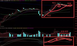 老鸭头形态图解是指均线还是看macd