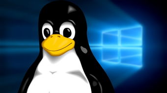 如何给预装Linux的电脑安装win10