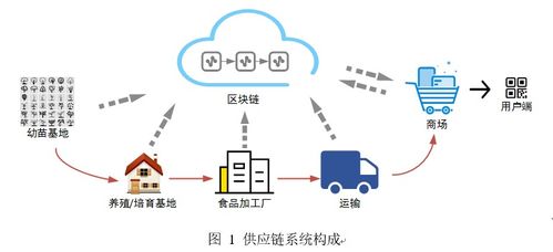 区块链十佳案例