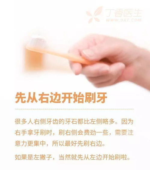 刷牙前牙膏要不要沾水 最实用的口腔健康小知识都在这儿