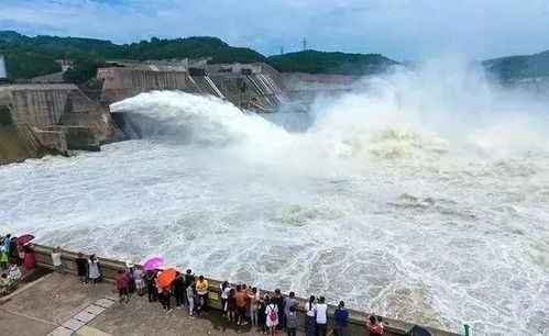 小浪底免费停车场,小浪底哪个门进最好