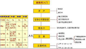 炒股开户需存多少钱