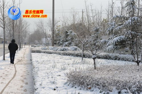 大雪时节雪纷纷 