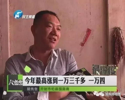 郑州 开封人一夜暴富成千万富翁 傻子都能挣钱 