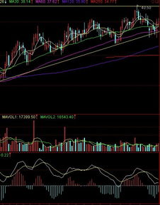 基于下图的K线、均线、MA、MACD指标对青岛啤酒股票进行技术分析