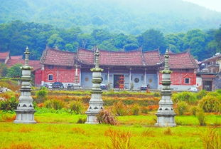 莆田龟山寺,龟山寺在莆田哪里-第1张图片