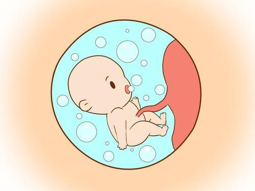 胎儿双顶径9.9是孕多少周