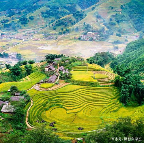 花生日记邀请码花生日记邀请码花生日记邀请码秋天风景怎么拍,拍成这样就好看啦