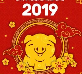 2019金猪年,猪价理性回归 或迎来大涨