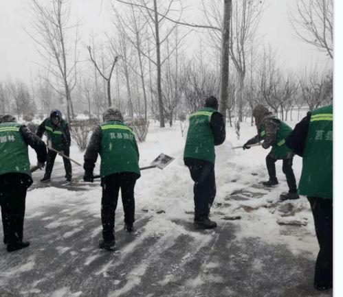 莒县2台除雪铲 20台铲车全部上路 全面保障居民出行安全