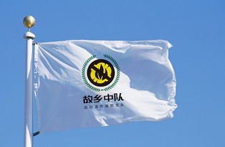 帮人设计一块消防队的logo,不知是否已采纳