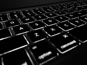 让电脑设置键盘控制鼠标，操作更便捷的秘诀大揭秘！
