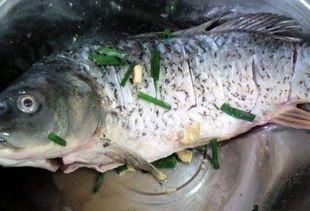 阜阳家常鱼做法：美味与传统的完美结合