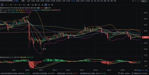 比特币最新价格走势 比特币最新价格走势 生态