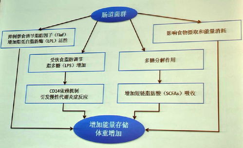 表情 营养失衡与肠道菌群是代谢性疾病的源头吗 肠道菌群 代谢性疾病 表情 