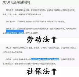 公司老板如何交社保