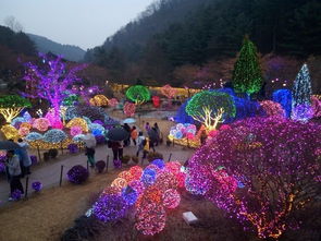 开学前的首尔及周边游 加平南怡岛 小法兰西村 晨静树木园