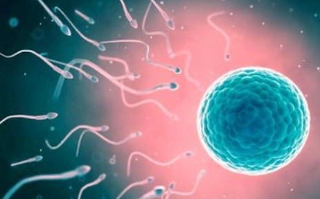 原创精子能在女人体内存活多久时间？无论是备孕还是避孕，早知早受益