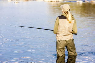 晚春钓鱼的有哪些技巧 钓鱼百科 