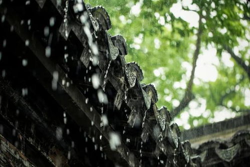 怎么拍出蒙蒙细雨的意境(怎么拍出蒙蒙细雨的意境呢)