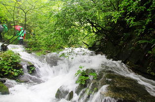 坪坝营醉氧的避暑胜地 