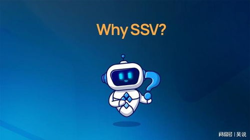  ssv.network币,ssv币牛市能到多少 行情