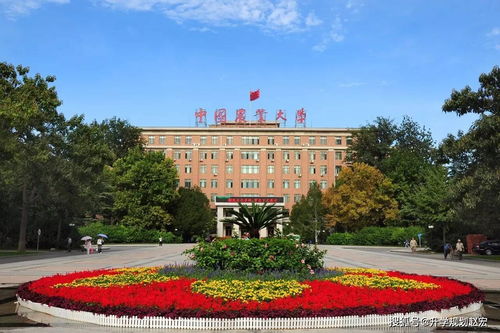 中国农业大学自考,中国农业大学自考本科？(图2)