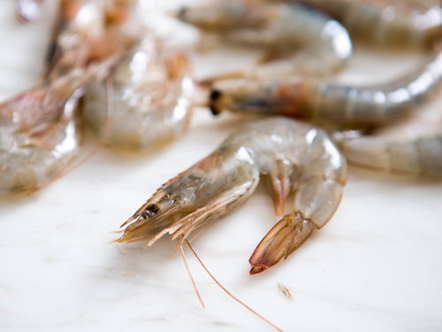 进口海鲜问题频出,海鲜类产品还敢吃吗 看专家怎么说 
