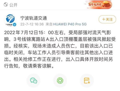 梦见酬金的钱被风吹走是什么意思(梦见自己的钱被大风吹吹走了又捡回来了是什么预兆)