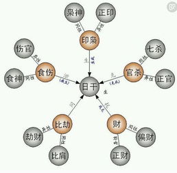 八字自学 第九章 食神和伤官的详细论述